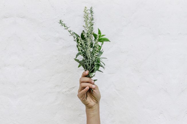 Spring Fever in Your Stomach with Wild Herbs