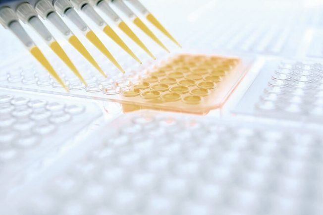 Introducing the ImuPro Scientific Advisory Board